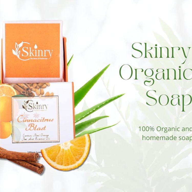 Skinry cinnamon citrus soap box with orange slice cinnamon sticks and aloe leaves natural organic soap